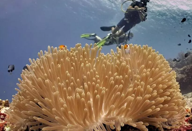 ペンション Omah Gili