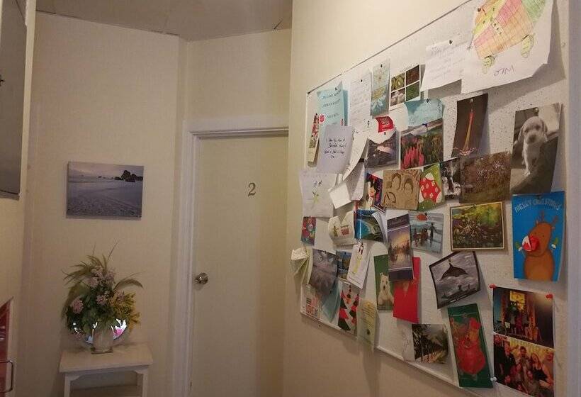 فندق صغير Aurora Backpackers