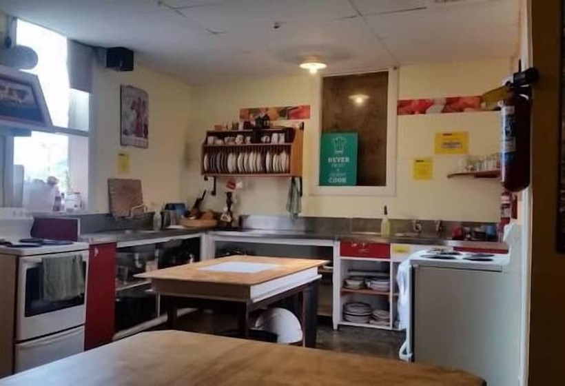 فندق صغير Aurora Backpackers