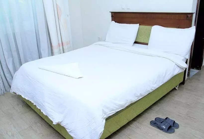 هتل Abyssinia Guest House No. 1
