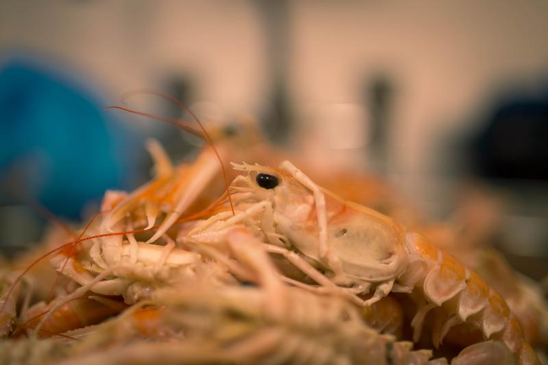 The Strand Hotel, The Former Residence Of Oscar Wilde