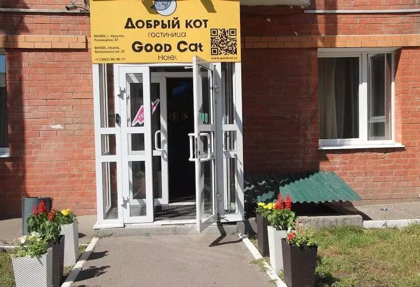 Good Cat   Hostel