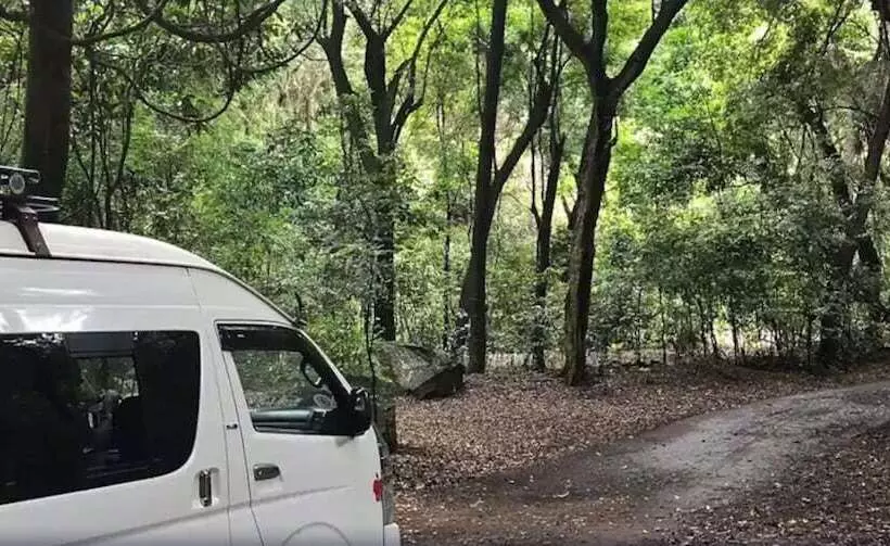 هتل Haile Resort Arbaminch