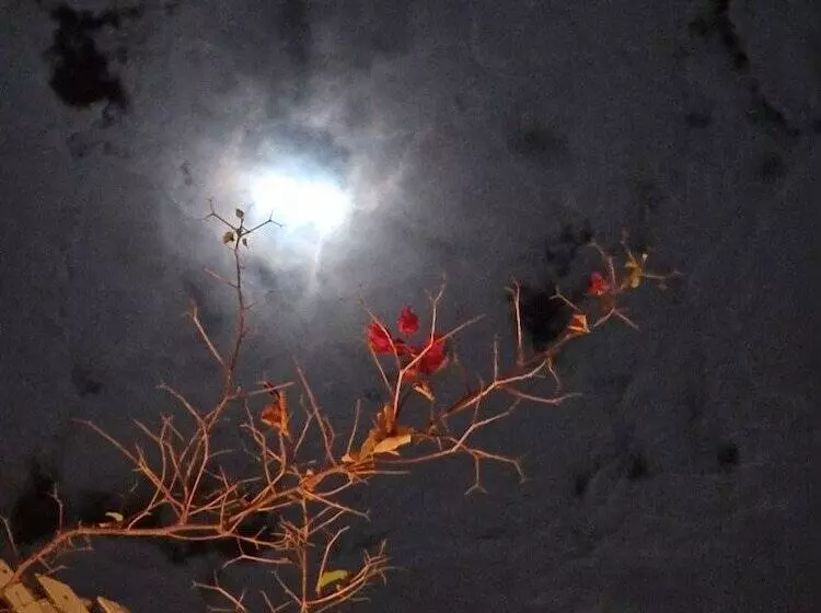 Majatalo L Oum Errabia Azemmour