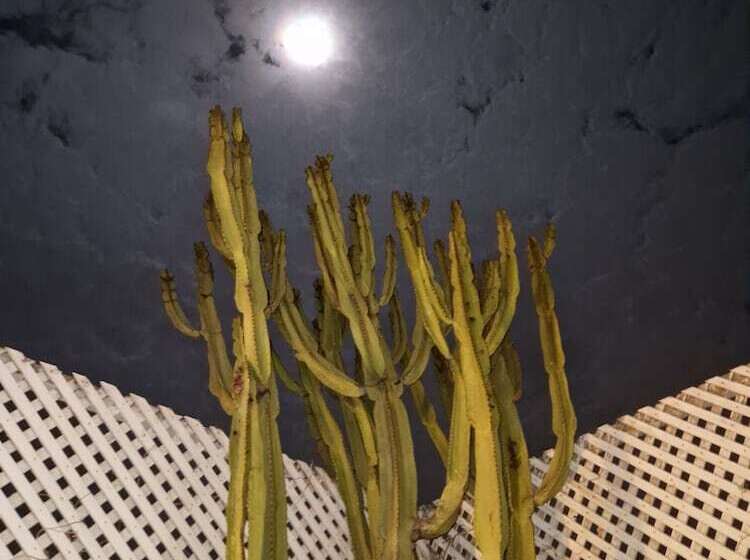 بنسيون L Oum Errabia Azemmour