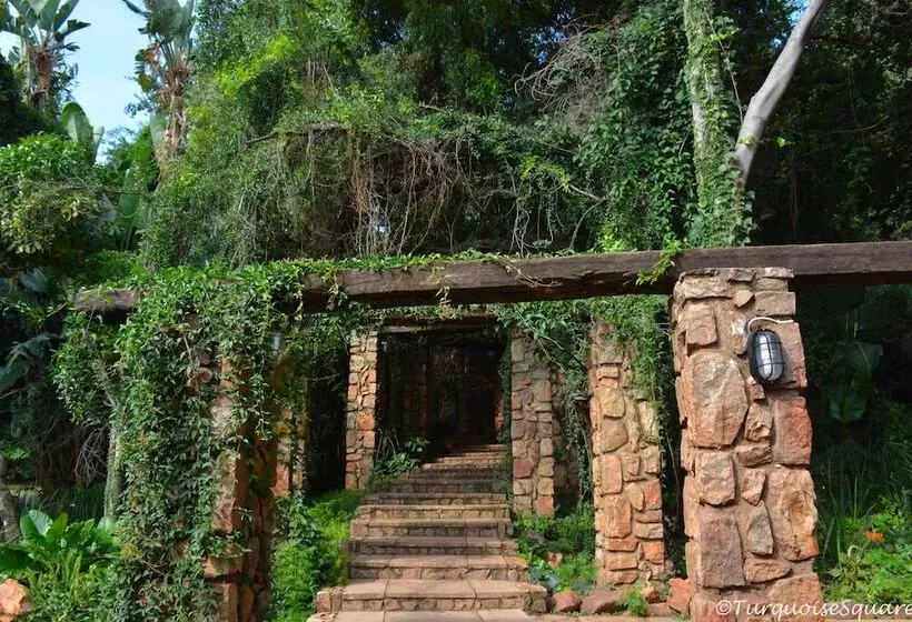 ペンション La Montagne Guest Lodge