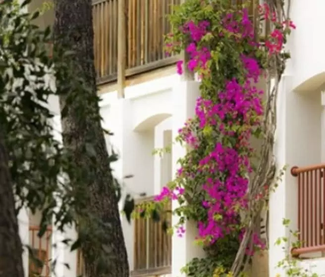 Hapimag Resort Sea Garden