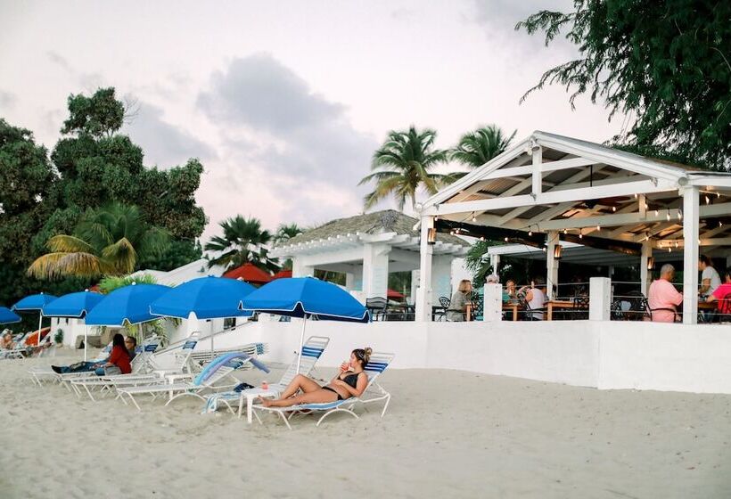 استراحتگاه Sand Castle On The Beach Adults Only