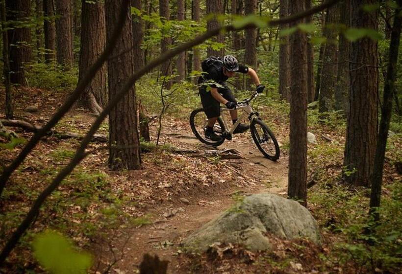 Bed & Breakfast Sirius