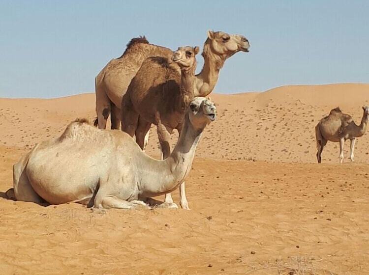 هتل Al Sarmadi Desert Night Camp