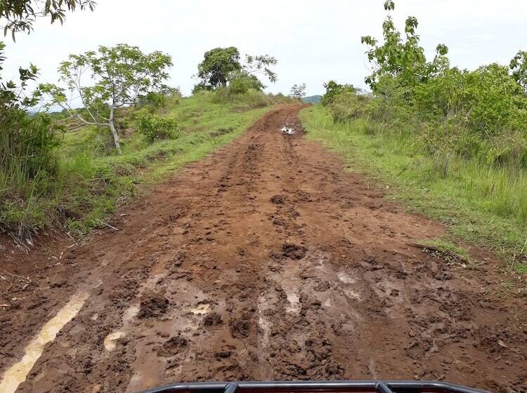 Hotel Aviavy Plage Hôtel