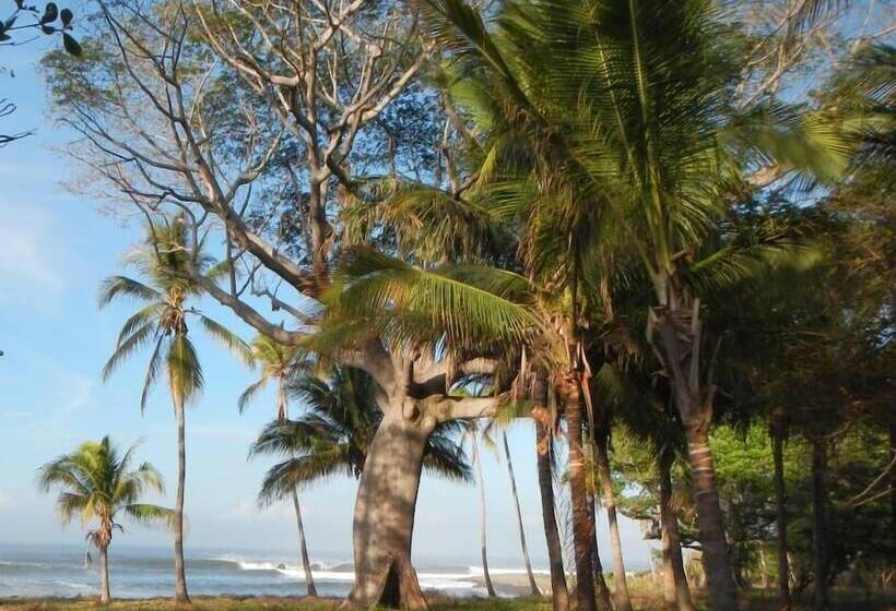 هتل Punta Roca Surf Resort