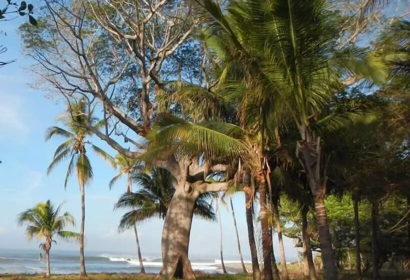 هتل Punta Roca Surf Resort