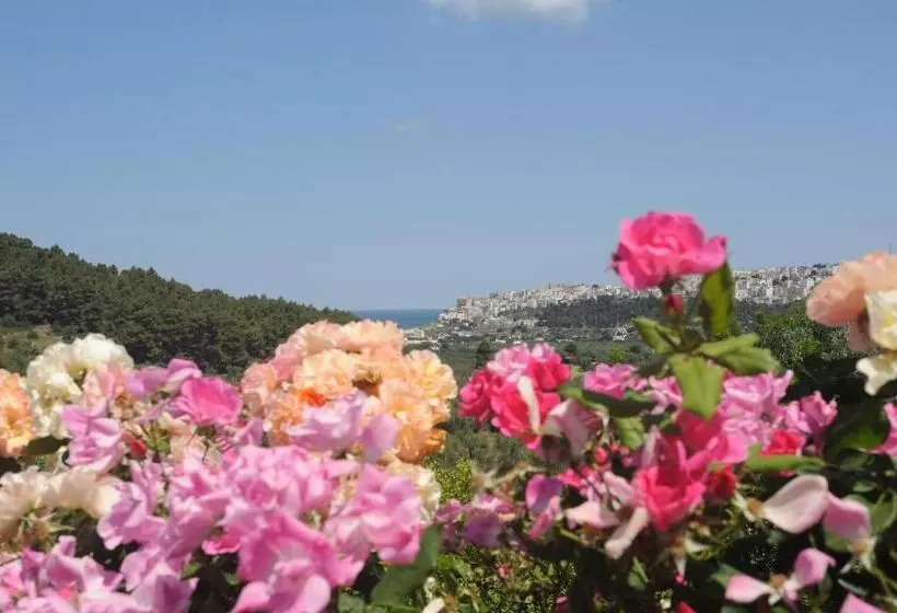 Agriturismo Torre Dei Preti