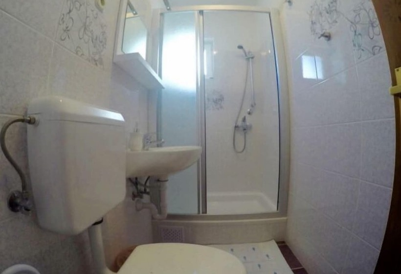 Pensiune Vila Lacman