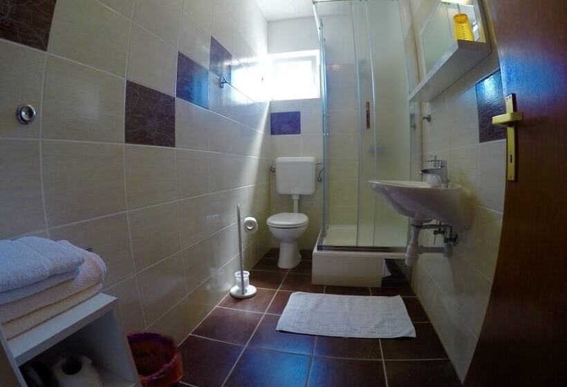 Pensiune Vila Lacman