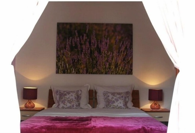 Pensiune Vila Lacman