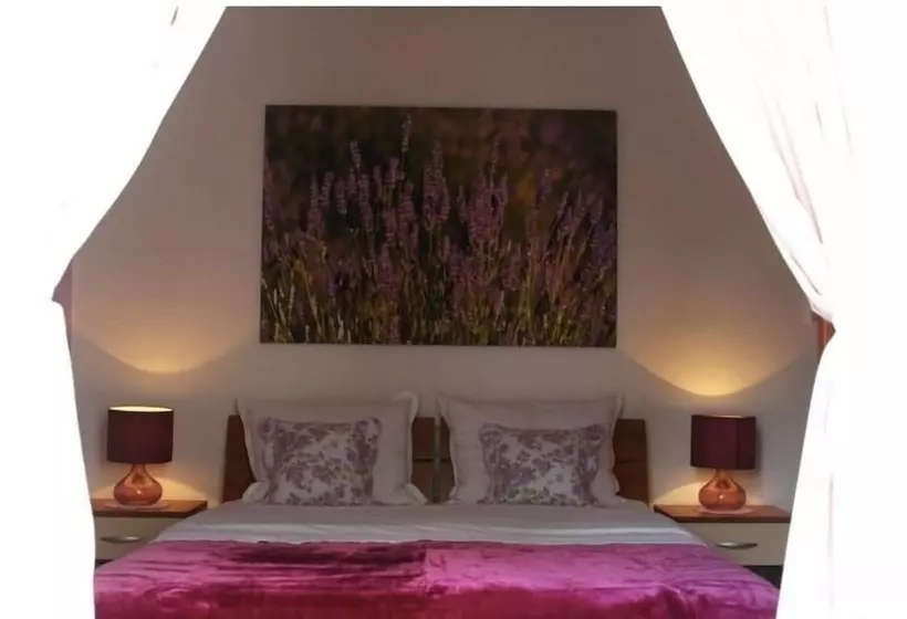 ペンション Vila Lacman