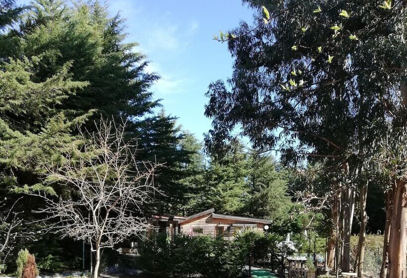 ベッドアンドブレックファースト Quinta Sul America