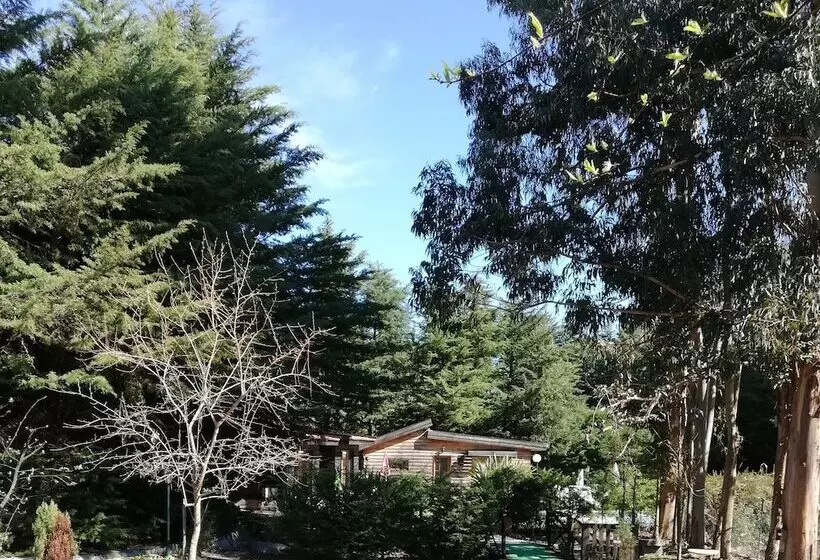 ベッドアンドブレックファースト Quinta Sul America