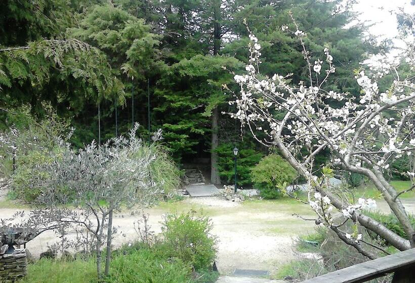 ベッドアンドブレックファースト Quinta Sul America