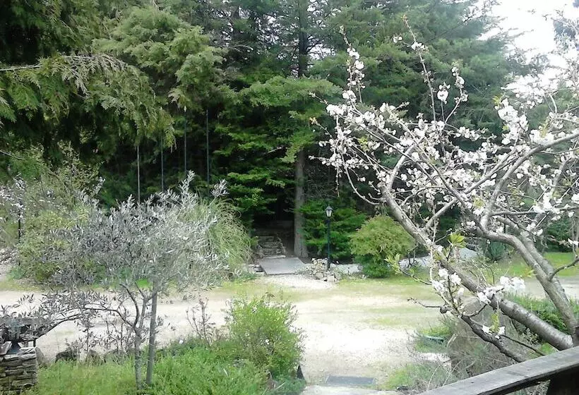 ベッドアンドブレックファースト Quinta Sul America