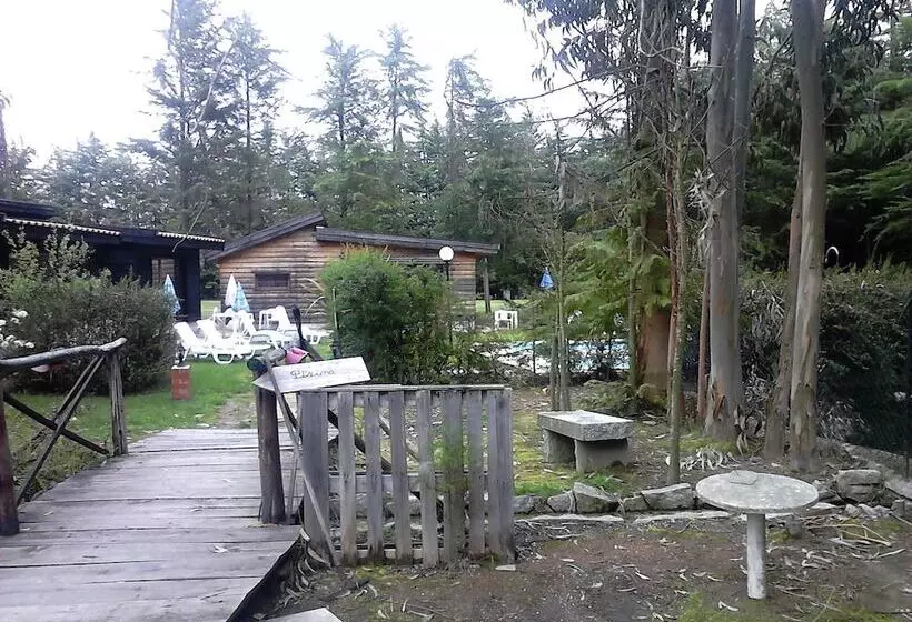 ベッドアンドブレックファースト Quinta Sul America