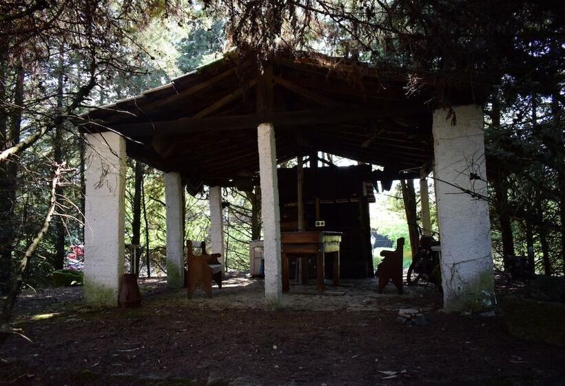 ベッドアンドブレックファースト Quinta Sul America