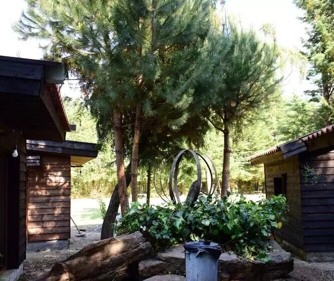 ベッドアンドブレックファースト Quinta Sul America