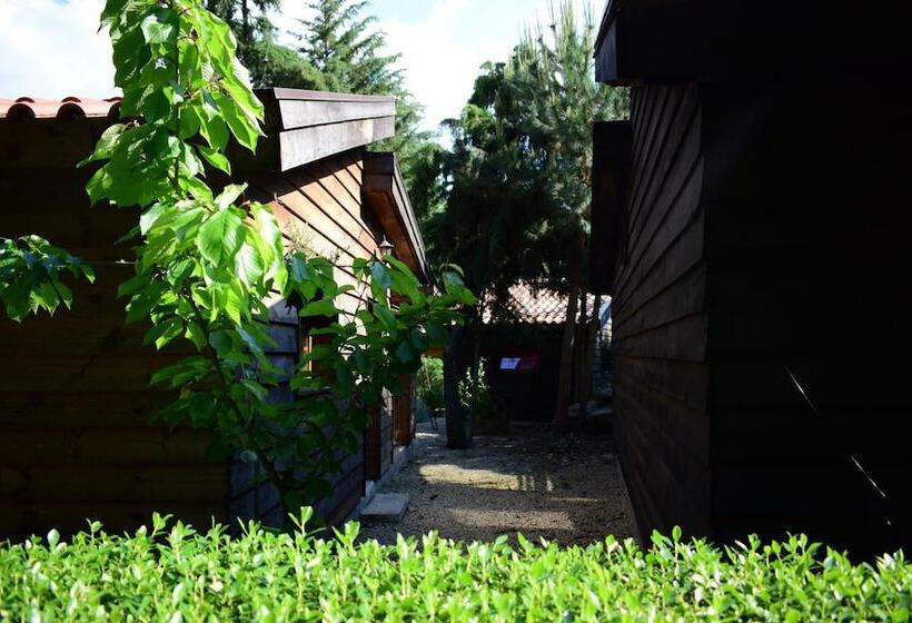 ベッドアンドブレックファースト Quinta Sul America