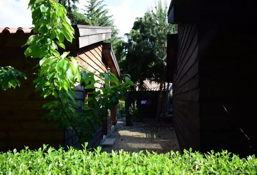 ベッドアンドブレックファースト Quinta Sul America