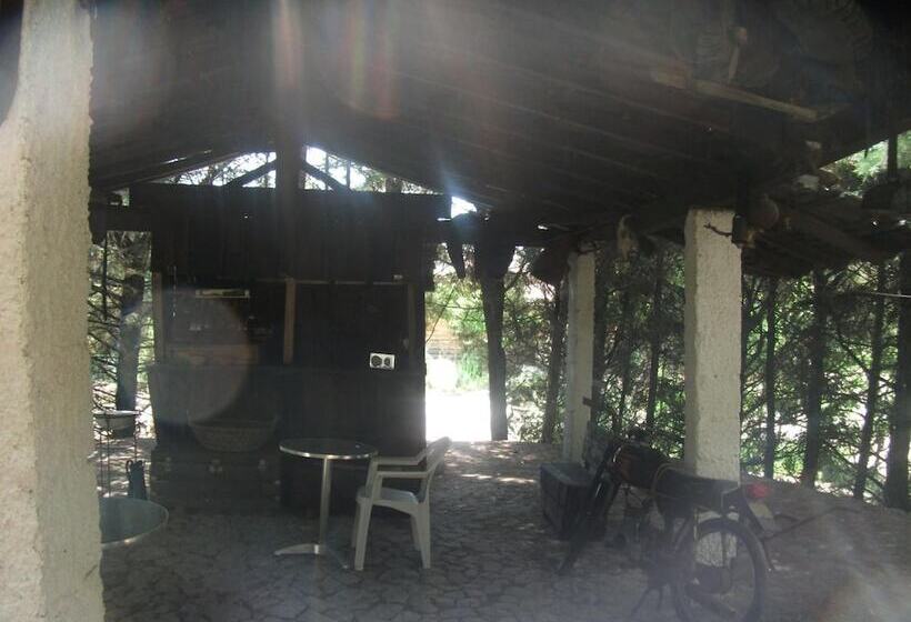 ベッドアンドブレックファースト Quinta Sul America