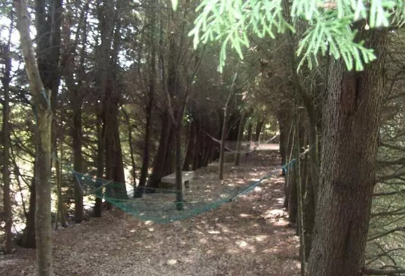 ベッドアンドブレックファースト Quinta Sul America