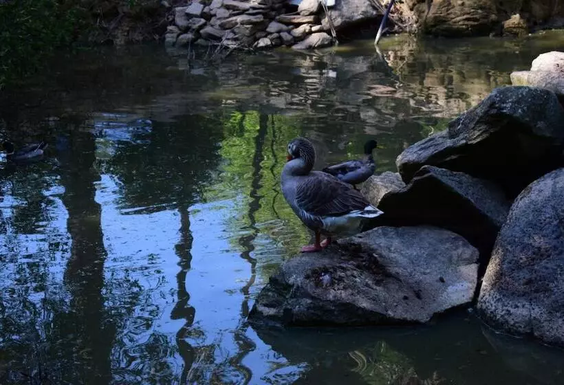 ベッドアンドブレックファースト Quinta Sul America