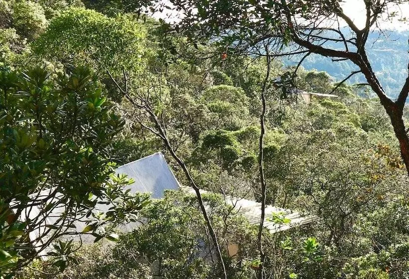 Hotelli Salvaje Glamping