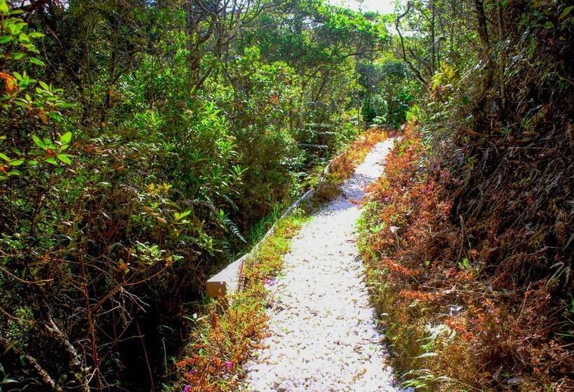 בית מלון כפרי Salvaje Glamping
