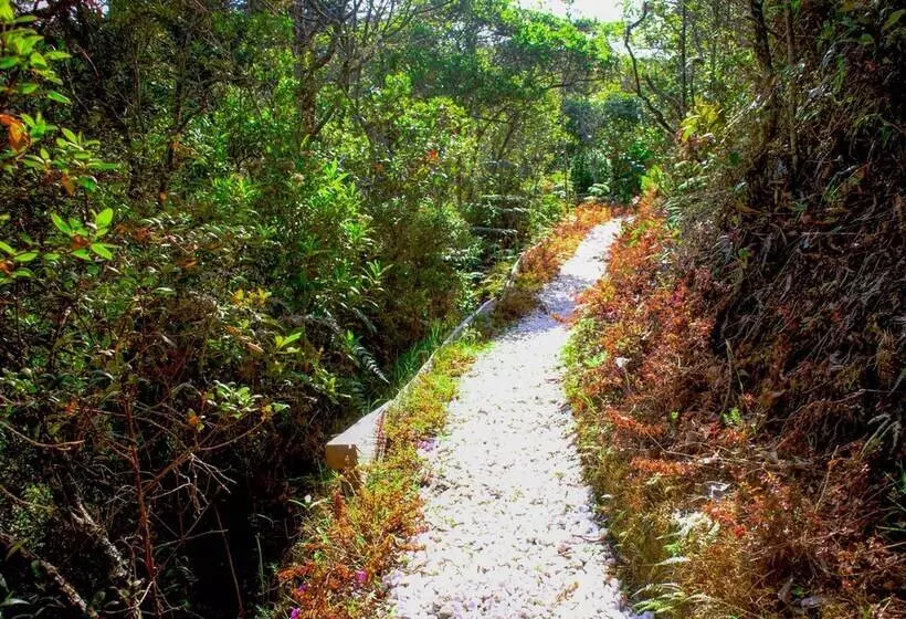 Hotelli Salvaje Glamping