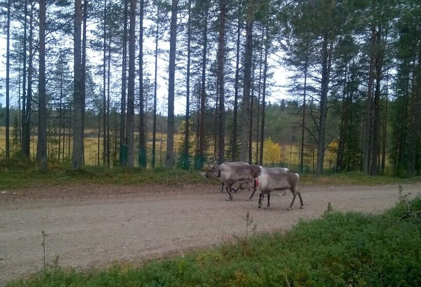 Kuusamon Keidas   Hostel