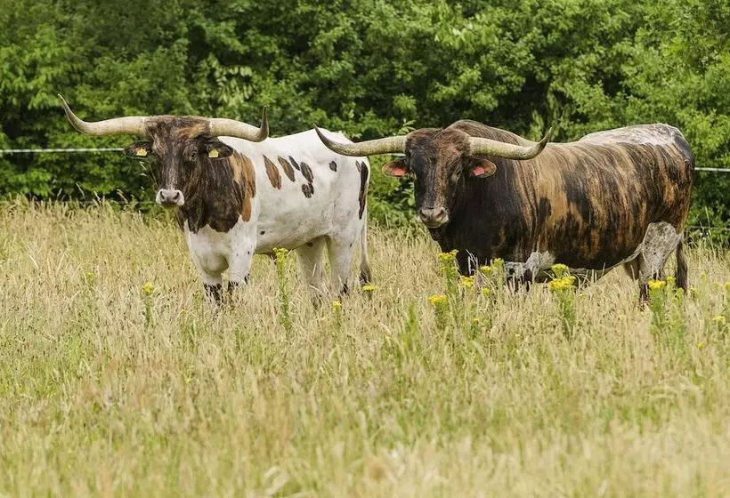 Majatalo Knaplund Destillery