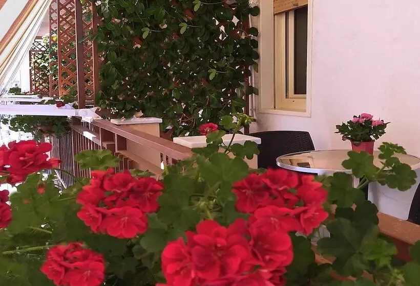 Solaris B&b