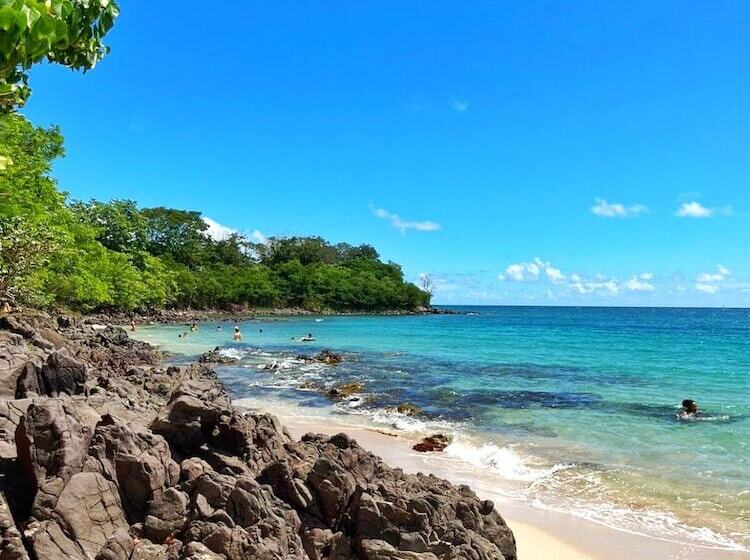 Studio Charmant A Fort De France Avec Vue Sur Jardin 38 M²