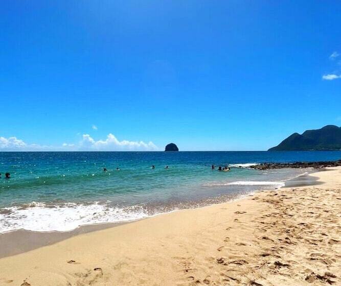 Studio Charmant A Fort De France Avec Vue Sur Jardin 38 M²