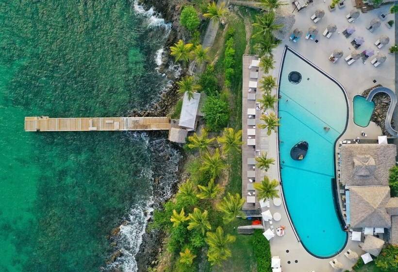 Studio Charmant A Fort De France Avec Vue Sur Jardin 38 M²