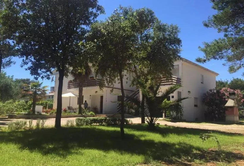 Apartments Corkovic