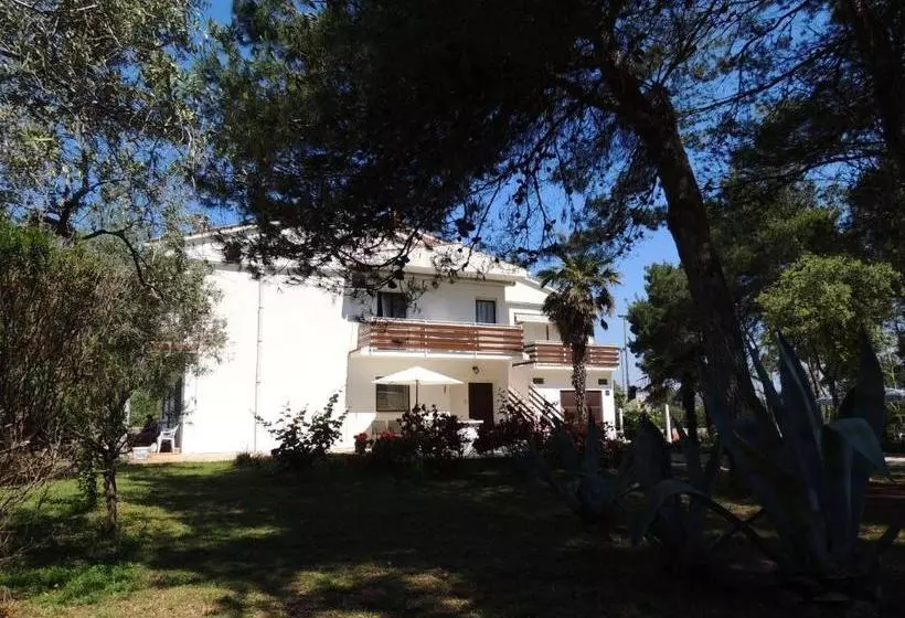 Apartments Corkovic