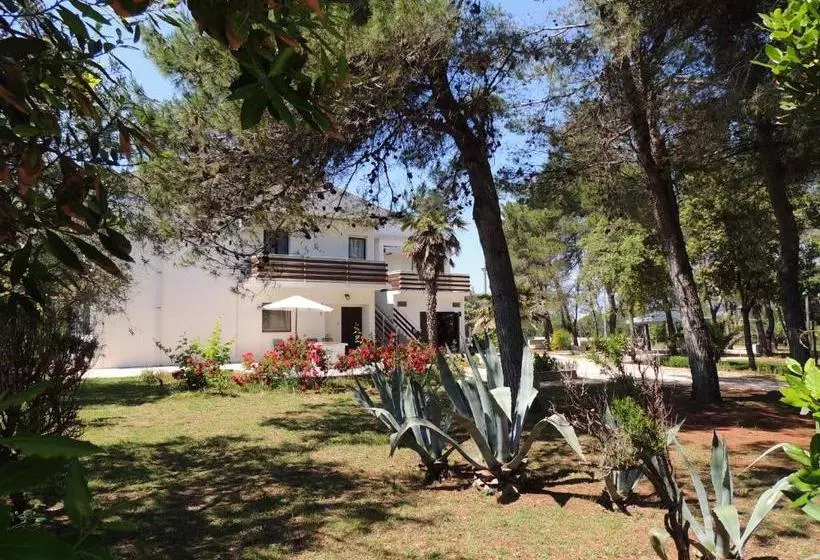 Apartments Corkovic