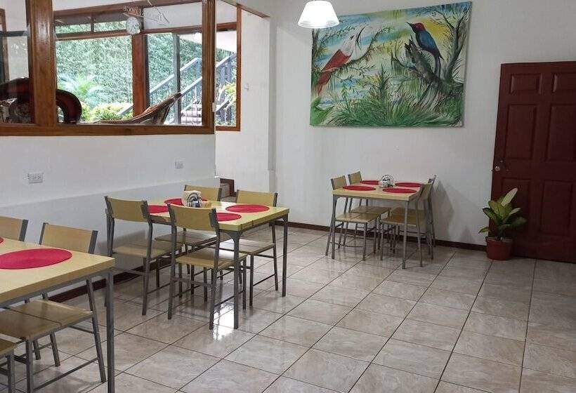 هتل Dreams Lodge Monteverde