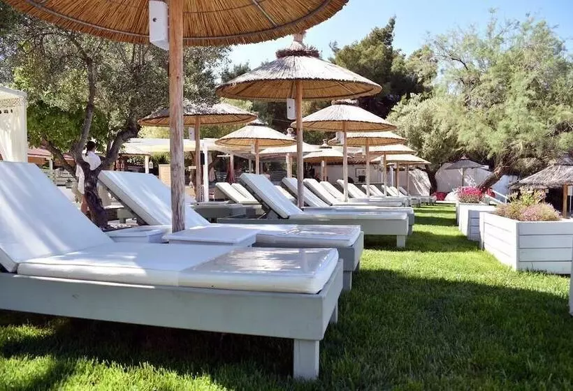 Hôtel Mango