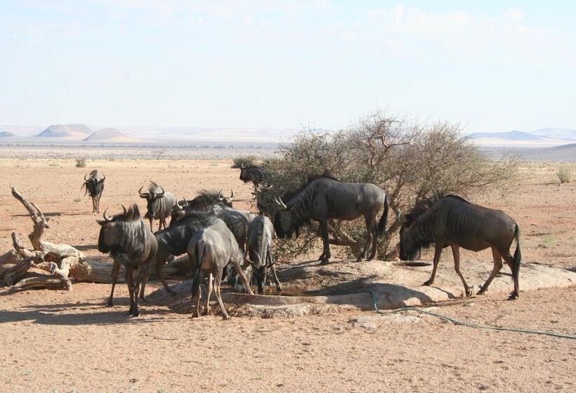 ホテル Soft Adventure Camp