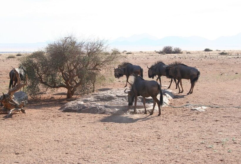 ホテル Soft Adventure Camp